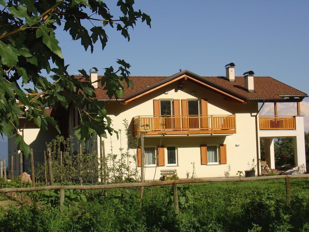 Agriturismo Girasole 费德拉帕加内拉 客房 照片