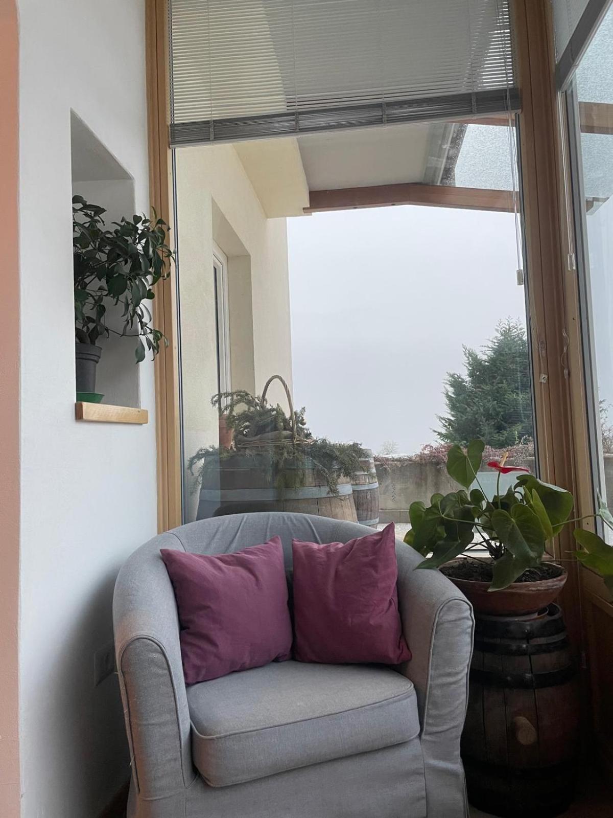 Agriturismo Girasole 费德拉帕加内拉 外观 照片