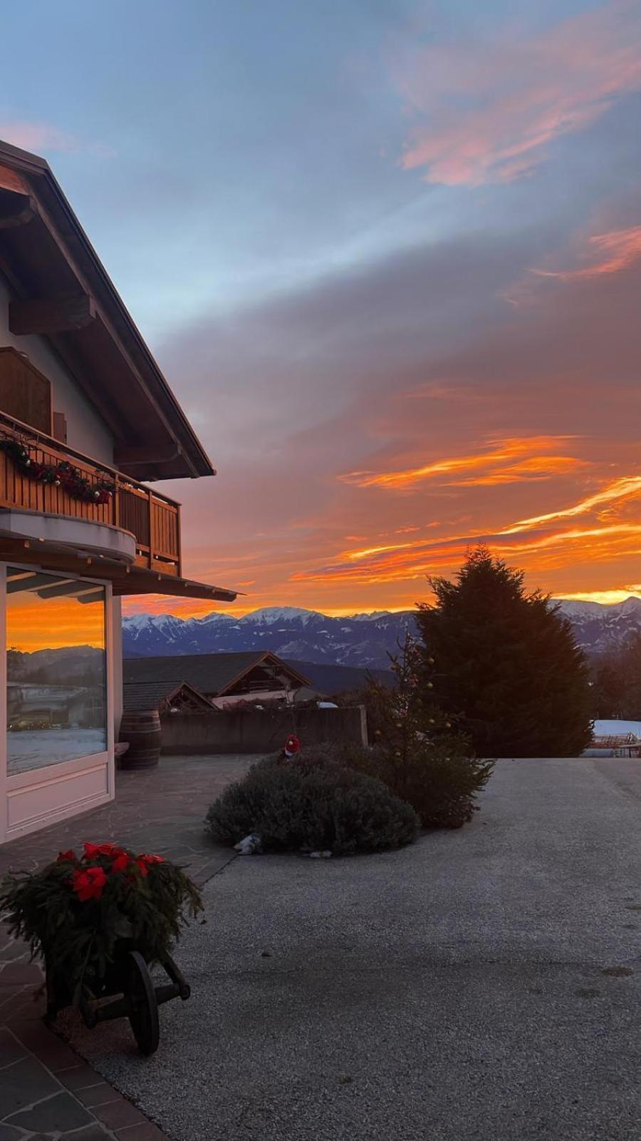 Agriturismo Girasole 费德拉帕加内拉 外观 照片