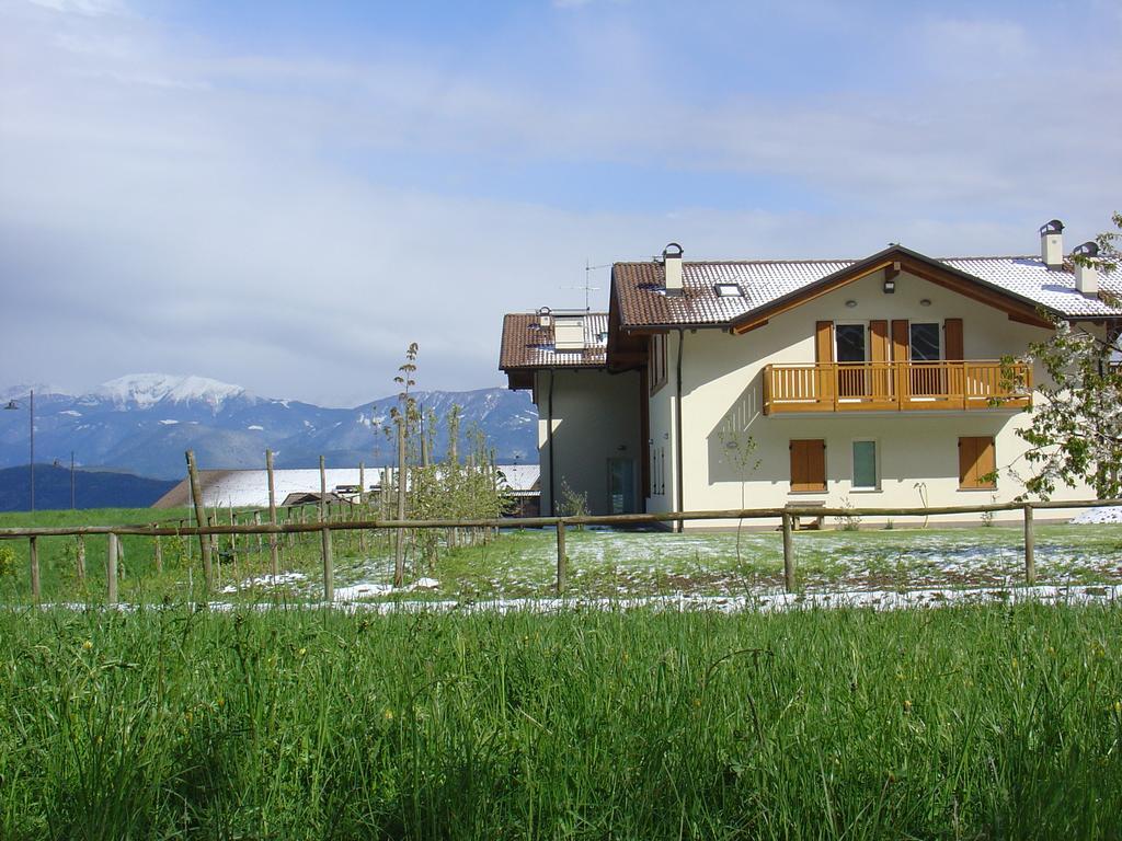Agriturismo Girasole 费德拉帕加内拉 外观 照片